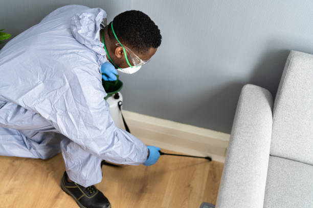 Real Estate Pest Inspections in Vandalia, OH